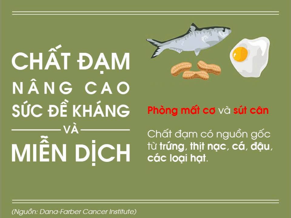 Người bệnh ung thư có cần kiêng thịt, sữa? - 3 Người bệnh ung thư có cần kiêng thịt, sữa? - 3