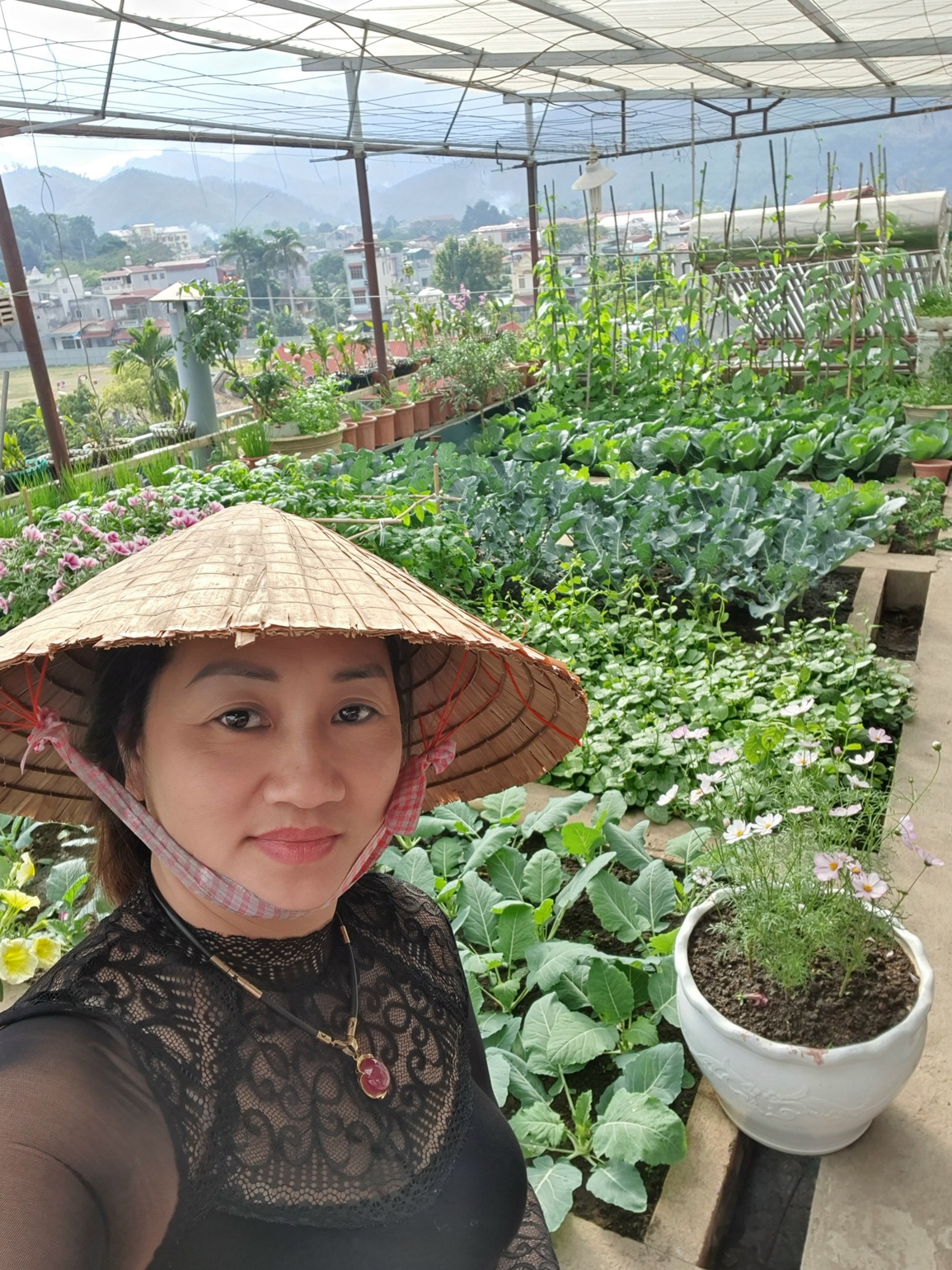 Gia đình Yên Bái bê ruộng rau, mương nước và trại gà 30 con lên nóc nhà - 2 Gia đình Yên Bái bê ruộng rau, mương nước và trại gà 30 con lên nóc nhà - 2