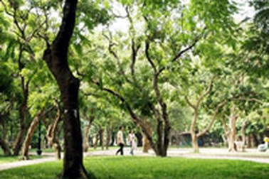 "Công viên Thống Nhất sẽ không là Disneyland"