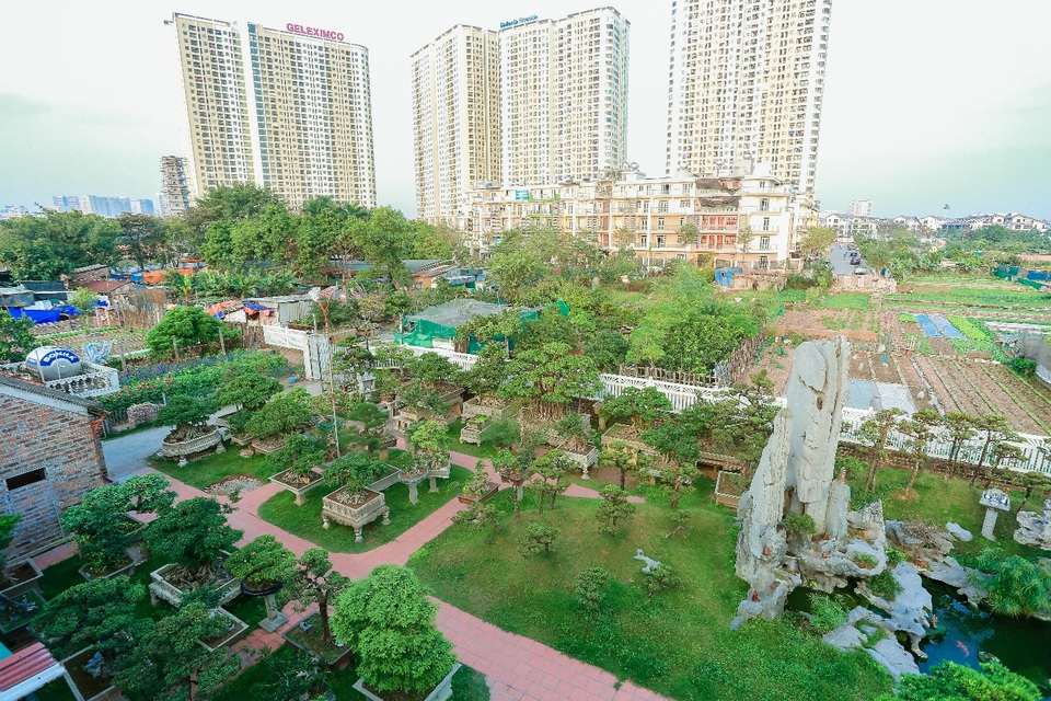 Choáng ngợp khu vườn bạc tỷ của đại gia chơi cây nức tiếng Hà Nội - 4 Choáng ngợp khu vườn bạc tỷ của đại gia chơi cây nức tiếng Hà Nội - 4