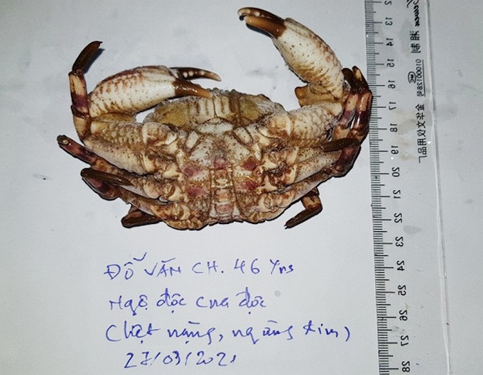 Cảnh báo các loại cua chứa độc tố, gây tử vong cao khi ăn - Ảnh 1. Cảnh báo các loại cua chứa độc tố, gây tử vong cao khi ăn - Ảnh 1.