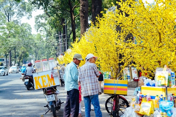 Mai vàng và áo dài đua nhau khoe sắc ở phố ông Đồ Sài Gòn