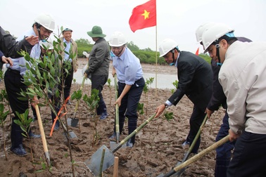 Bộ trưởng cùng người dân trồng cây ngập mặn ở Thái Bình