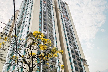 Mùa Covid, người dân Thủ đô chọn mua chung cư nhận nhà ở ngay!