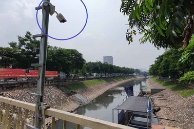 Lắp camera, bố trí người bảo vệ đàn cá Koi Nhật Bản ở sông Tô Lịch