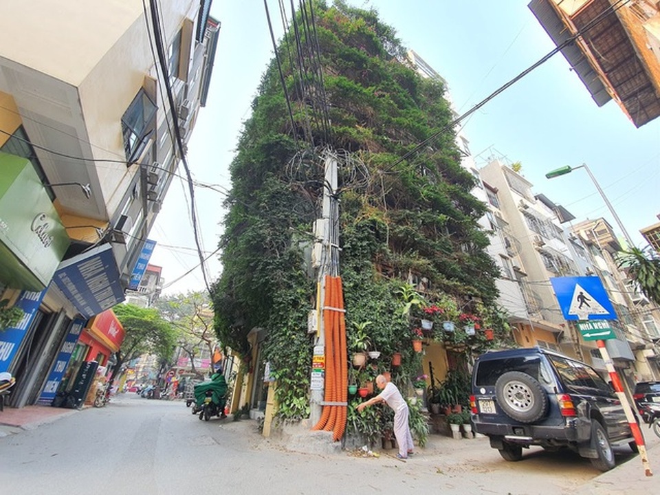 Những ngôi nhà phủ cây xanh, mỗi buổi sáng chim hót líu lo như trong rừng - 7 Những ngôi nhà phủ cây xanh, mỗi buổi sáng chim hót líu lo như trong rừng - 7