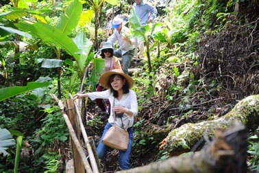 Mở tour du lịch miễn phí đến vùng sâm Ngọc Linh