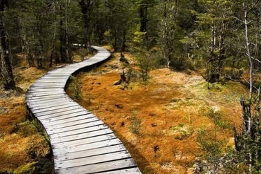 13 lý do khiến New Zealand là đất nước tuyệt vời nhất