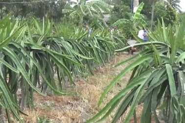 Chạm vào dây điện đứt, bé trai 5 tuổi tử vong