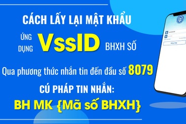 Hơn 1,79 triệu người quên mật khẩu bảo hiểm xã hội số - VssID
