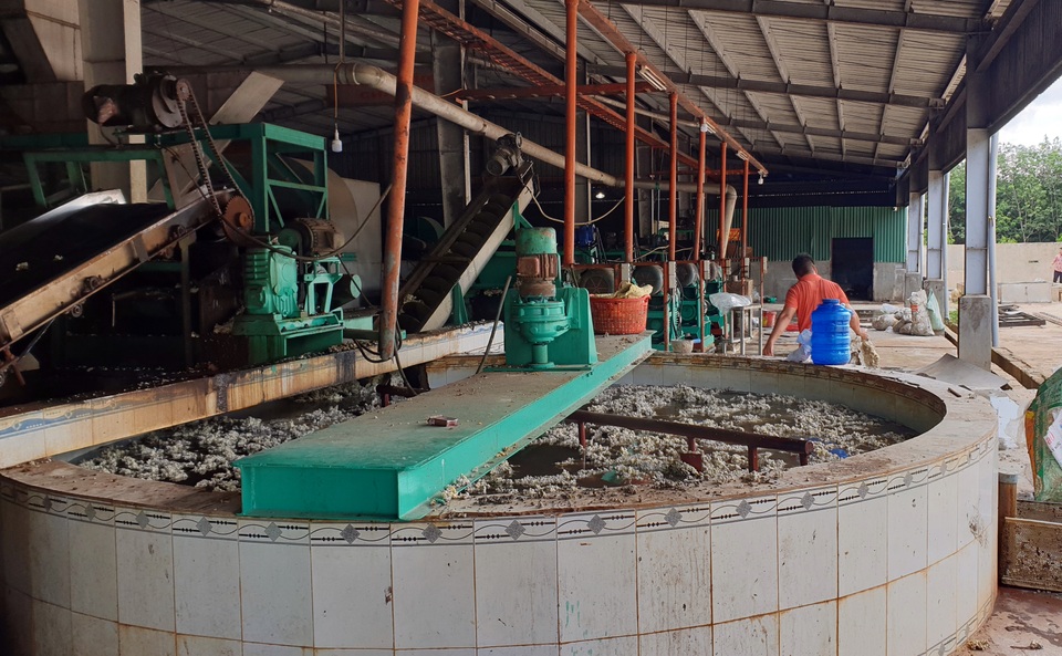 Vụ dân bỏ nhà trốn ô nhiễm từ nhà máy cao su: Nhiều sai phạm về môi trường - 1 Vụ dân bỏ nhà trốn ô nhiễm từ nhà máy cao su: Nhiều sai phạm về môi trường - 1