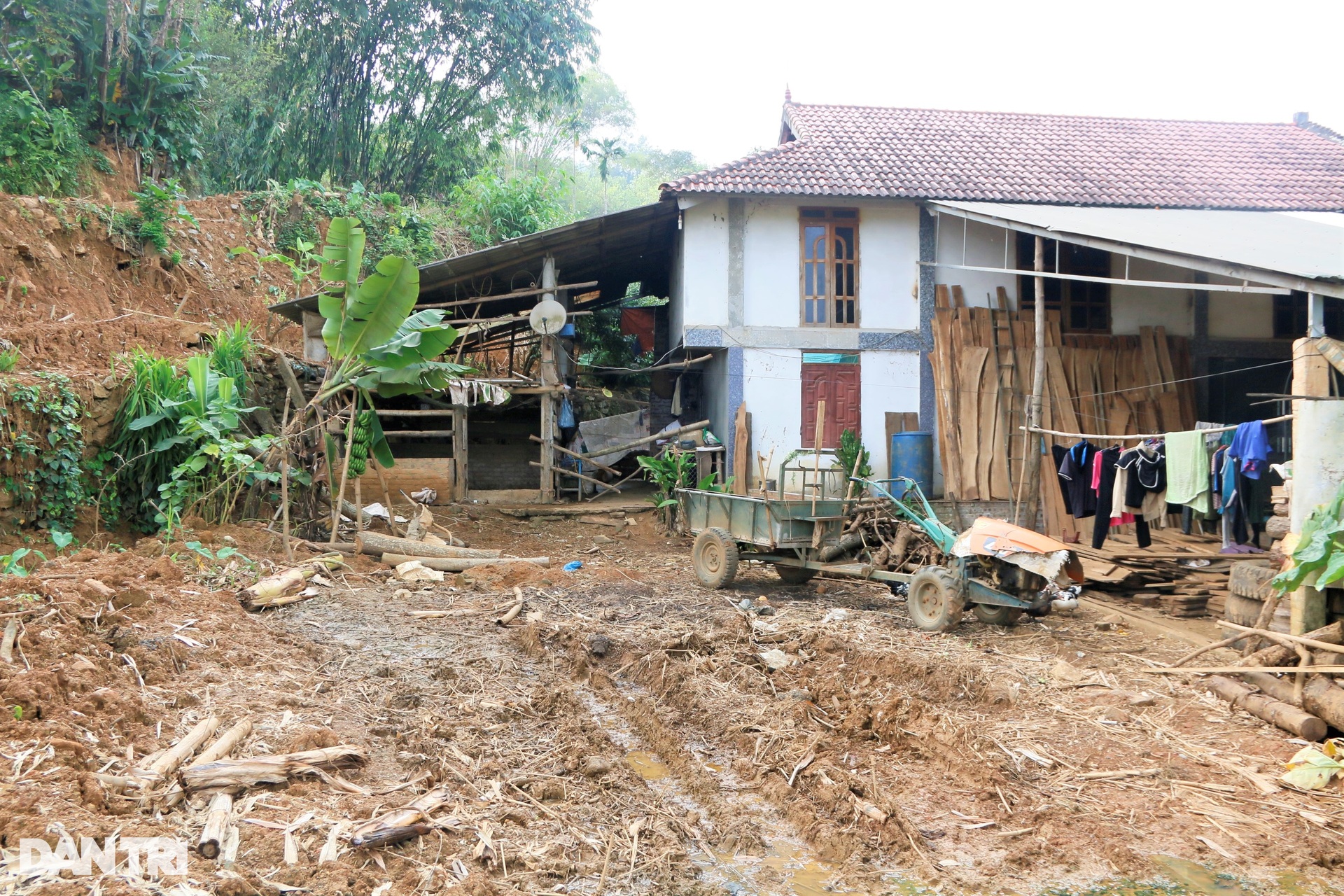 Trái ngang cảnh nhà lầu bỏ không, người dân dựng lều để ở - 2 Trái ngang cảnh nhà lầu bỏ không, người dân dựng lều để ở - 2