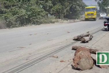 Khổ vì đường bụi, người dân bức xúc cắm biển “yêu cầu tưới nước”