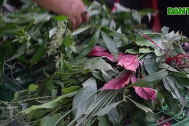 Người dân TPHCM chen chân mua lá xông, bánh ú cúng Tết Đoan Ngọ