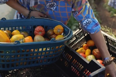 Nảy ý tưởng làm trang trại hữu cơ, chàng trai nhận được một tỷ đồng đầu tư