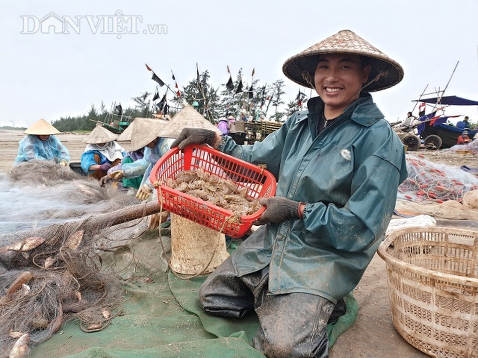 Nam Định: Ra biển kéo lưới trúng đậm tôm hung dữ toàn con to bự - 4 Nam Định: Ra biển kéo lưới trúng đậm tôm hung dữ toàn con to bự - 4