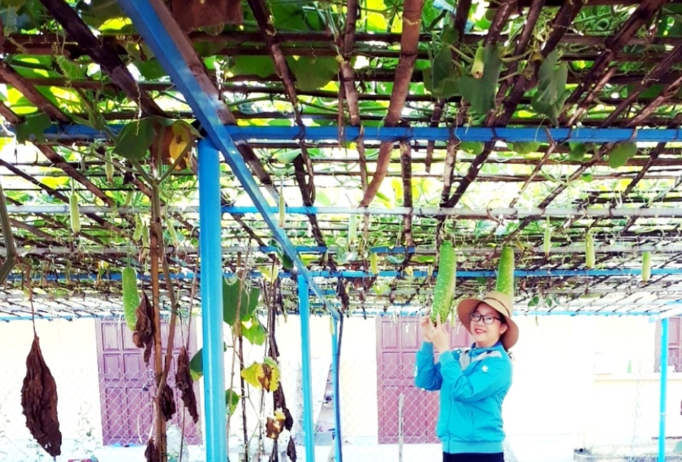 “Giải cứu” vườn rau, quả cho trường vùng cao trong mùa dịch Covid-19 - 5 “Giải cứu” vườn rau, quả cho trường vùng cao trong mùa dịch Covid-19 - 5