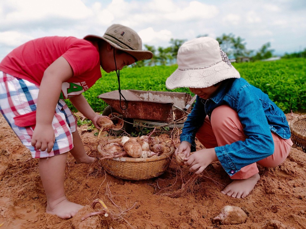 Ông bố gà trống nuôi con làm mảnh vườn gần 4.000m2 ở Bình Thuận - 14