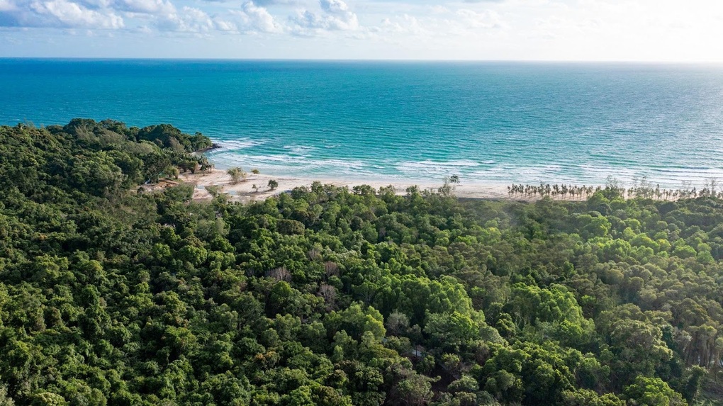 Shopping giữa rừng - trải nghiệm độc đáo sẽ xuất hiện tại đảo Ngọc - 2 Shopping giữa rừng - trải nghiệm độc đáo sẽ xuất hiện tại đảo Ngọc - 2