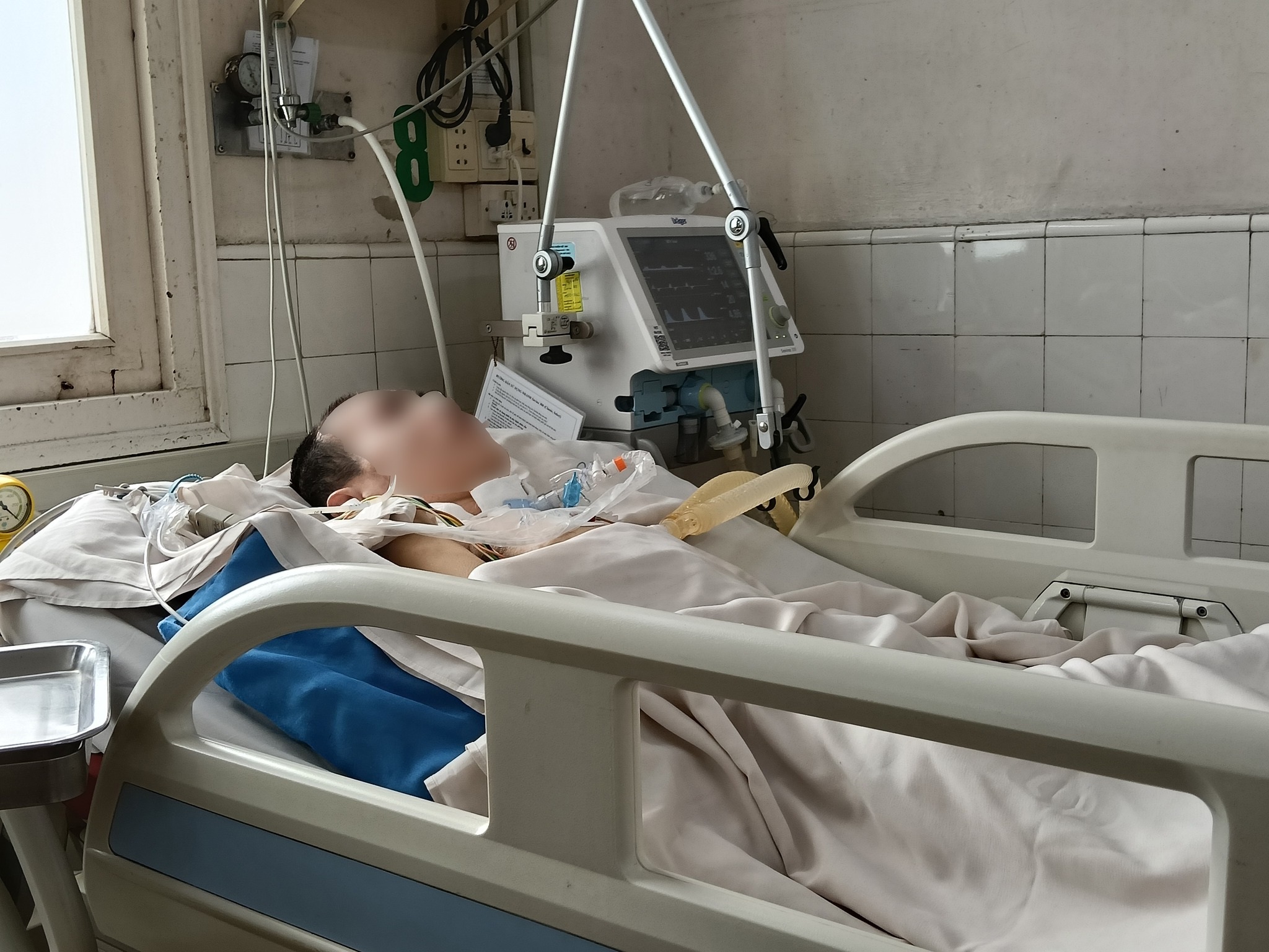 Hà Nội, TPHCM ghi nhận bệnh viêm não Nhật Bản, có thể lây qua muỗi đốt - 2
