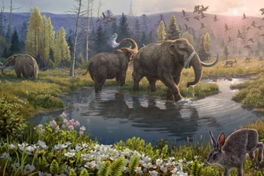 Khoa học có thể tái tạo hệ sinh thái 2 triệu năm tuổi từ DNA cổ đại