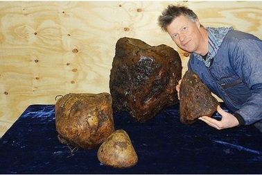 Khám phá những thành phần “khó tin” trong các loại mỹ phẩm