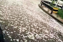 Mưa tạo bọt trắng bí ẩn khắp đường phố ở Thiên Tân