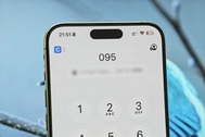 Đấu giá đầu số 095 khởi điểm từ 2,5 tỷ đồng