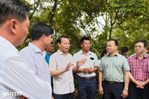 Biến thách thức thành cơ hội với loại quả "tỷ đô"