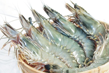 Bí quyết giúp các bà nội trợ chọn đồ hải sản tươi ngon