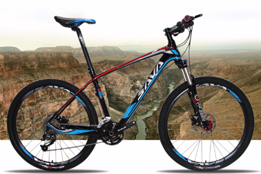 Lựa chọn nào cho xe đạp thể thao carbon giá rẻ?