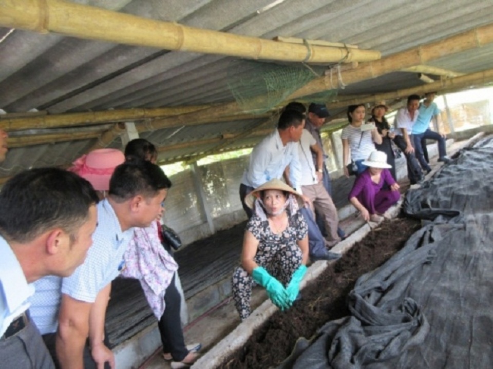 Nuôi loại con nghe đã ghê mang lại nguồn thu khủng không ngờ - 4 Nuôi loại con nghe đã ghê mang lại nguồn thu khủng không ngờ - 4