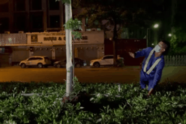 Công nhân xuyên đêm đánh chuyển hàng cây phong lá đỏ ở Hà Nội