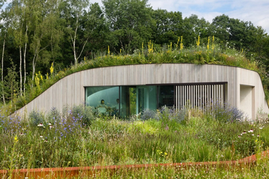 Ngôi nhà nhỏ mộng mơ nằm giữa thung lũng hoa vàng cỏ xanh