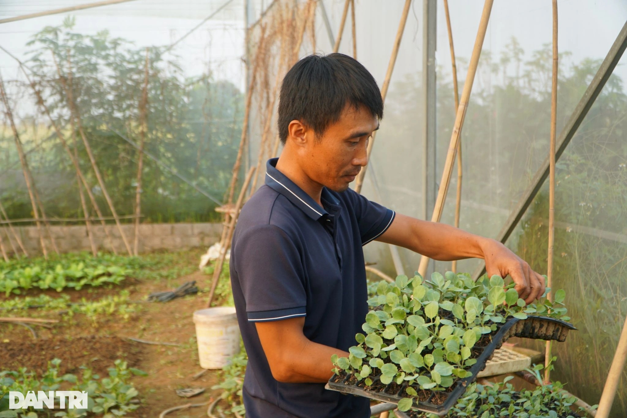 Cặp vợ chồng suýt bị bố mẹ từ mặt vì bỏ phố về quê làm nông nghiệp sạch - 5