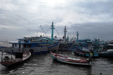 3 thanh niên đi trên đường… bị công an giả bắt, ép đi làm ngư phủ