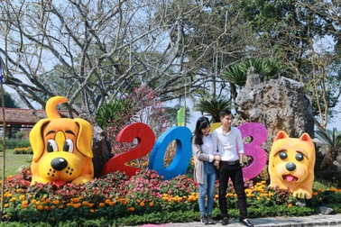 Du xuân những ngày giáp Tết Mậu Tuất 2018