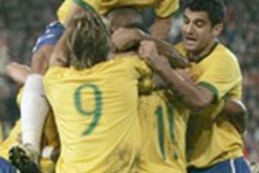 Sư tử Vàng và Voi rừng Phi châu giày xéo cựu lục địa