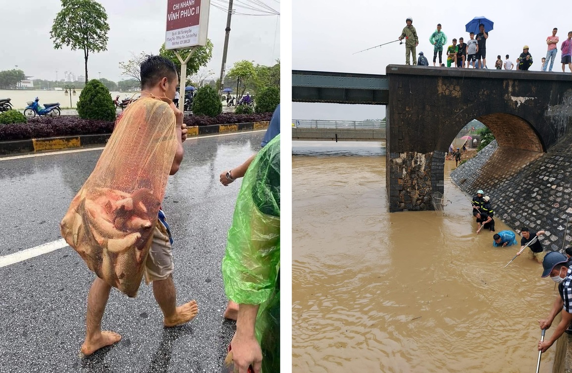 Khoảnh khắc người dân vác cần câu, 