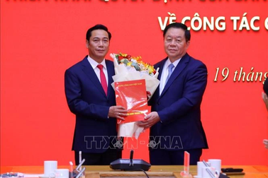 Trao quyết định bổ nhiệm Tổng Biên tập Báo điện tử Đảng Cộng sản Việt Nam