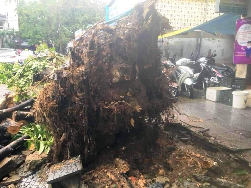 Cận cảnh nước lũ dâng cao ngang ngực ở nhiều tỉnh miền Trung - 33 Cận cảnh nước lũ dâng cao ngang ngực ở nhiều tỉnh miền Trung - 33