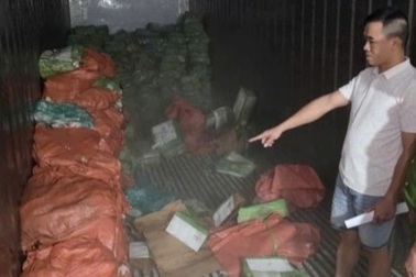 Khởi tố 18 bị can trong vụ vận chuyển hơn 5,3 tấn chân giò