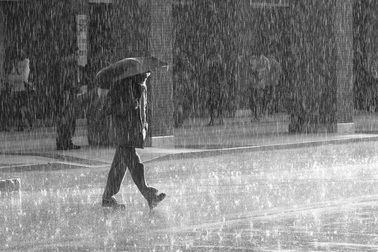 Ở những nơi mưa ướt quanh năm