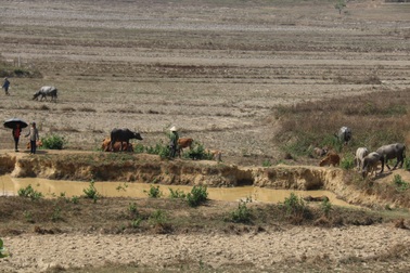 Nhiều tháng liền không mưa, Tây Nguyên "khát nước"!