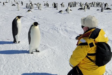 Muốn đi du lịch vòng quanh thế giới không tốn tiền hãy chọn nghề này