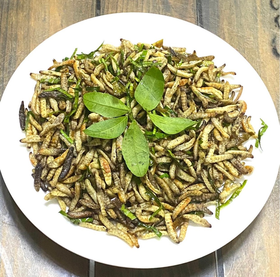 Loạt đặc sản con nhung nhúc, béo tròn, khách vừa ăn vừa sợ - 3