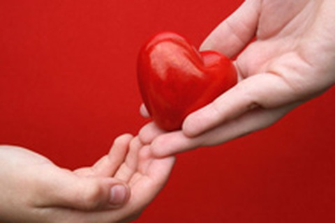 Hãy lấy tôi, vì tình bạn!