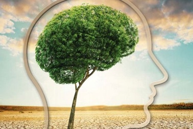 Thông điệp của ông M. Jarraud nhân Ngày Khí tượng thế giới