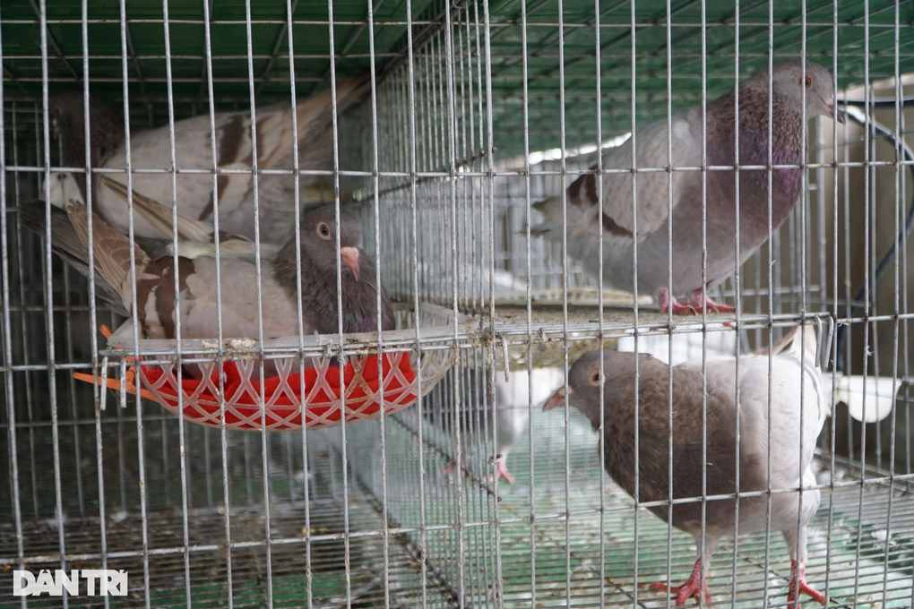 Người đàn ông gây bất ngờ từng là con nợ của cả làng - 3 Người đàn ông gây bất ngờ từng là con nợ của cả làng - 3