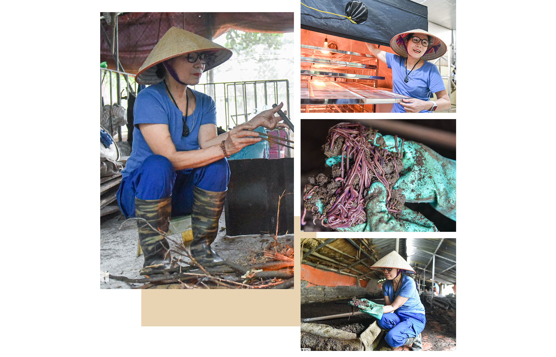 Cho lợn nghe nhạc, nuôi giun làm thực phẩm người phụ nữ thu nhập tiền tỷ - 7 Cho lợn nghe nhạc, nuôi giun làm thực phẩm người phụ nữ thu nhập tiền tỷ - 7